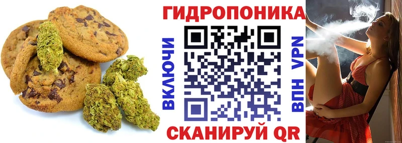 Купить где  Белово  Cannafood конопля 