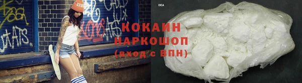 шишки Армянск