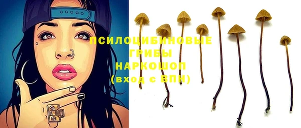 шишки Армянск