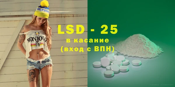 индика Алзамай