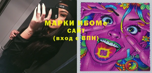сатива Алексеевка